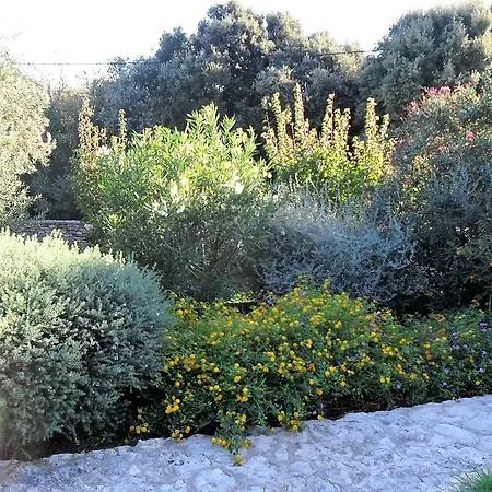 Casa Martini בית נופש