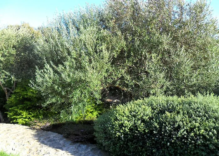 Casa Martini Hébergement de vacances Bonifacio (Corsica)