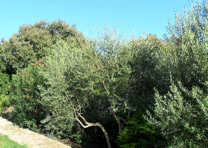 Hébergement de vacances Casa Martini