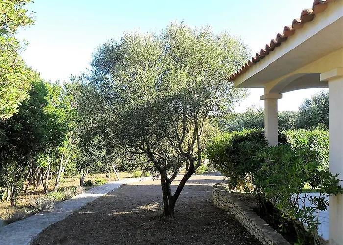 Hébergement de vacances Casa Martini Bonifacio (Corsica)