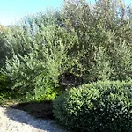 Casa Martini בית נופש בוניפסיו