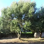 Casa Martini