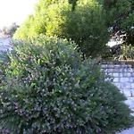 Casa Martini בוניפסיו