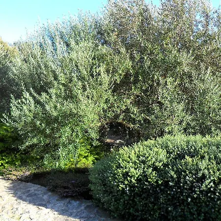Casa Martini Feriehus Bonifacio (Corsica)