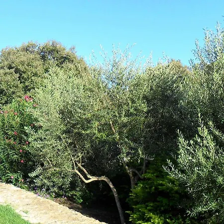 Ferienhaus Casa Martini