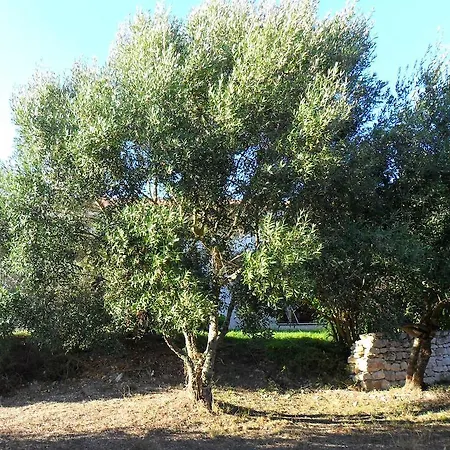 Casa Martini