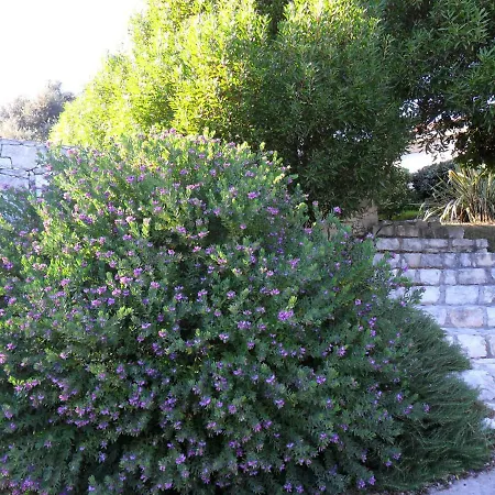 Casa Martini Bonifacio (Corsica)