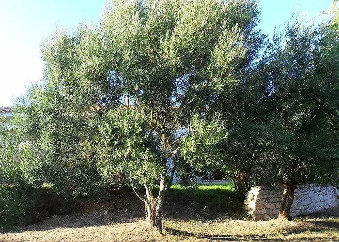Casa Martini