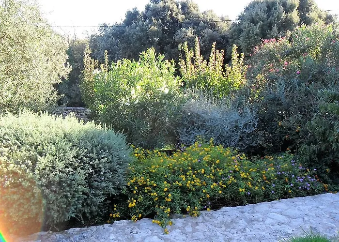 Casa Martini Casa vacanze